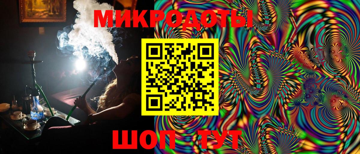 Псилоцибиновые грибы Psilocybe Конаково
