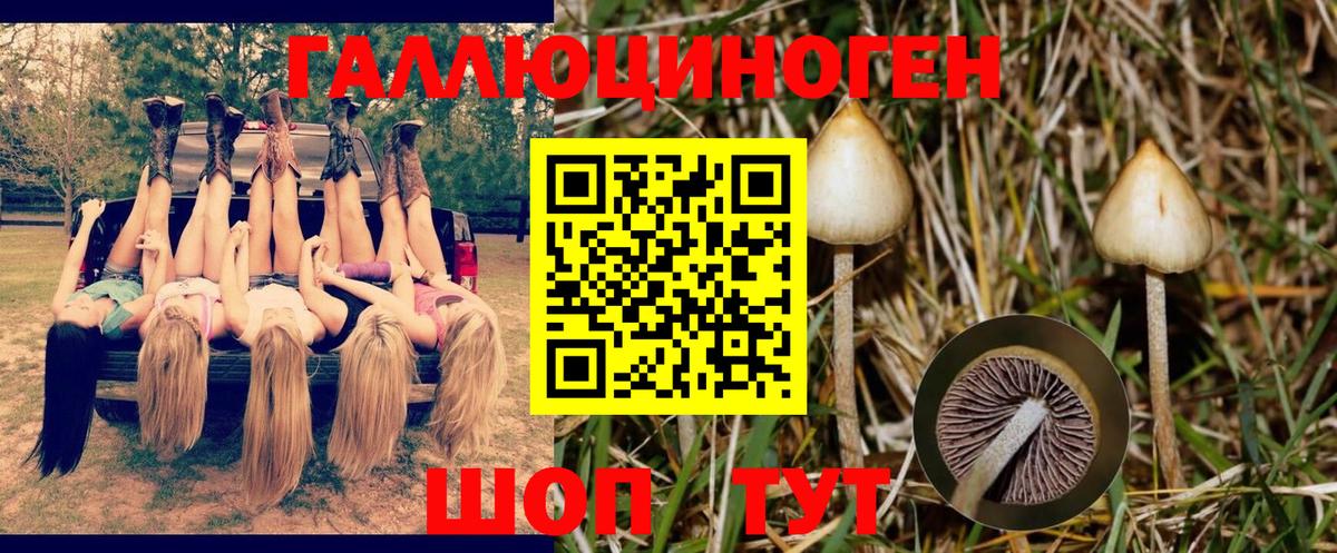 Конаково  Галлюциногенные грибы мухоморы  Вход с VPN  Галлюциногенные грибы мицелий 